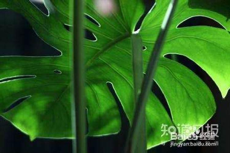 贵州和合有机肥业有限公司怎么样？