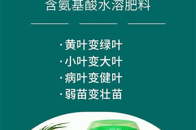 水溶肥十大品牌都有哪些特征!