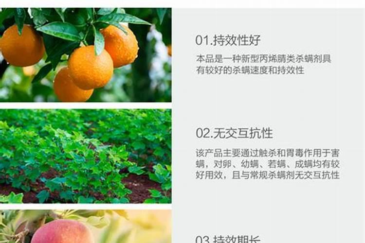 请问苹果锈病什么杀菌药最好