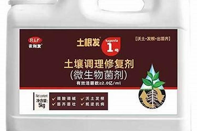 用什么菌剂可以达到土壤修复