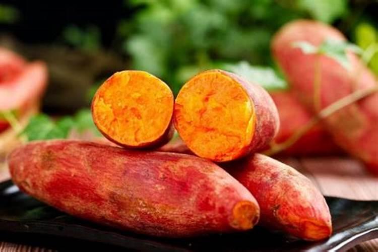 红菜苔种子进行春化处理,春化时间多少最合适？