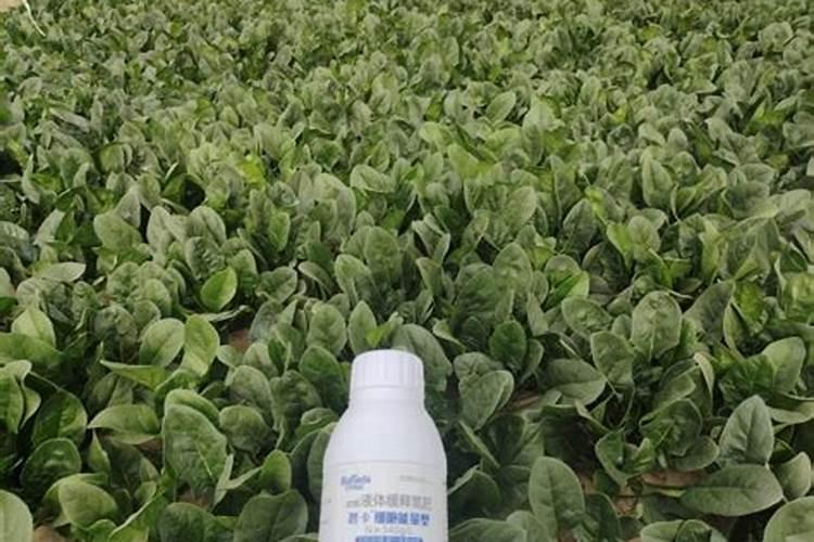 水溶肥为什么贵,大量元素水溶肥料标准是什么
