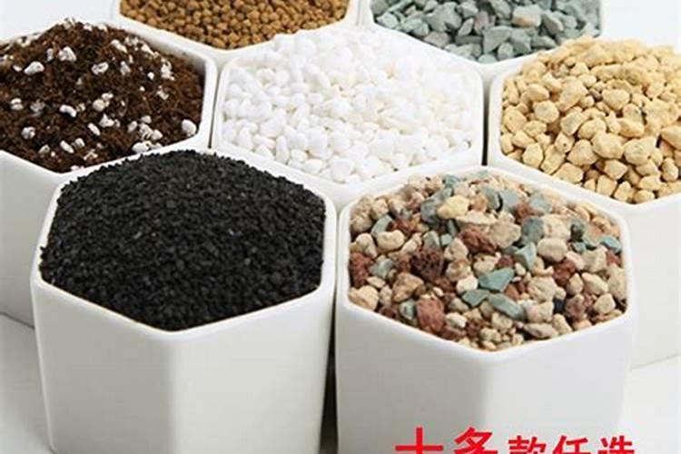 花上肥料上多了怎么办