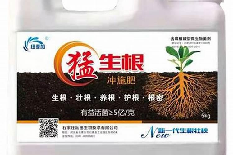葡萄开花前施什么肥料最好