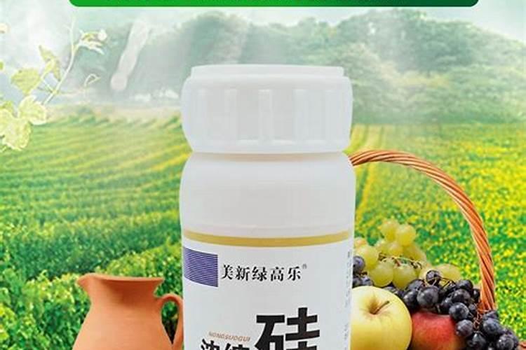 什么药给盆栽花(盆栽养护攻略,哪些药物是盆栽花的良药)