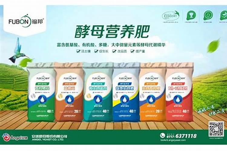 豆角打什么药好