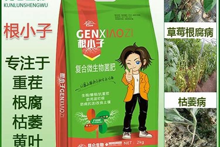 烤烟种植技术与方法