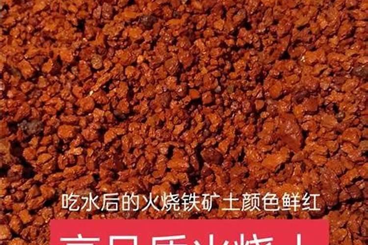 火山石和桐生砂及火烧土哪个养兰更好