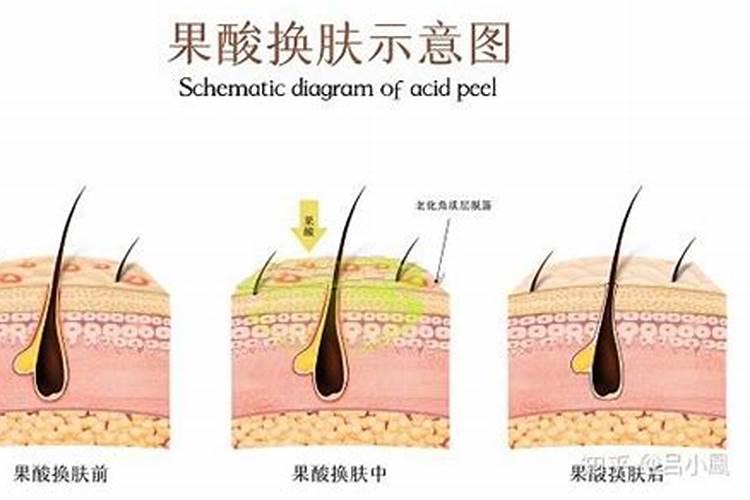 百香果用什么肥料？