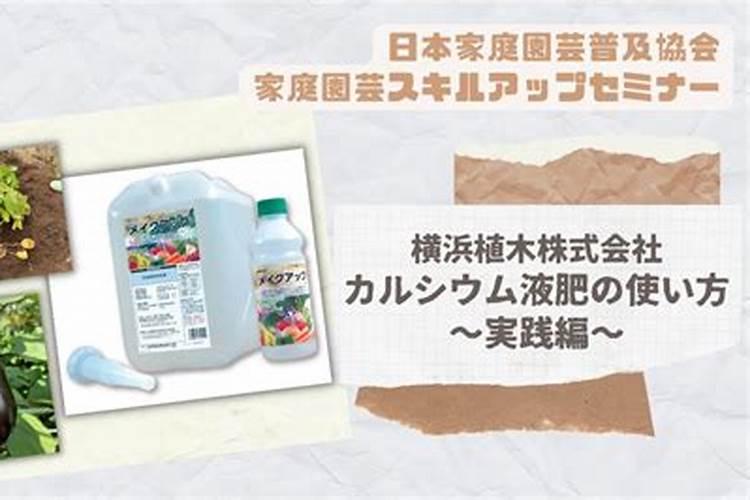 大力士叶面肥主要成分是啥
