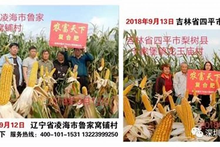 种玉米用什么品牌的复合肥好