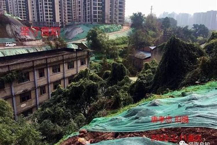正阳县准备建化肥厂了吗