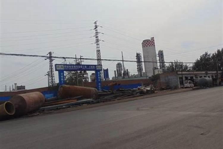 榆树的繁殖方法