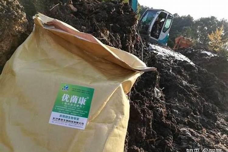 猫屎可以做花肥吗
