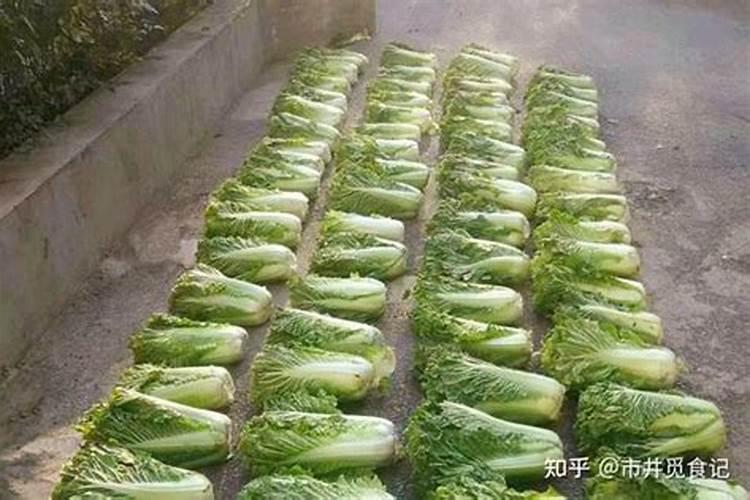 施什么肥白菜长的最茂盛