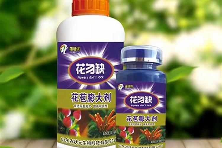 球兰哪个季节换盆好