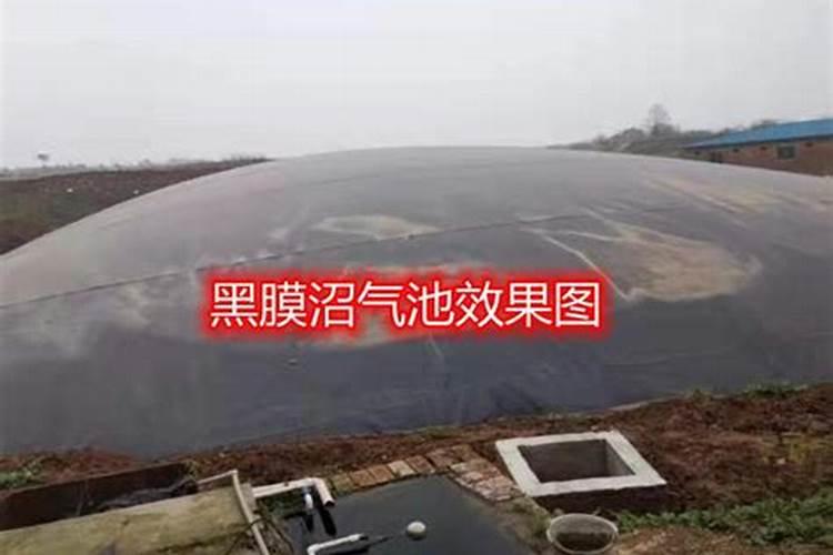 沼气池的沼液用来浇果树有什么好处？