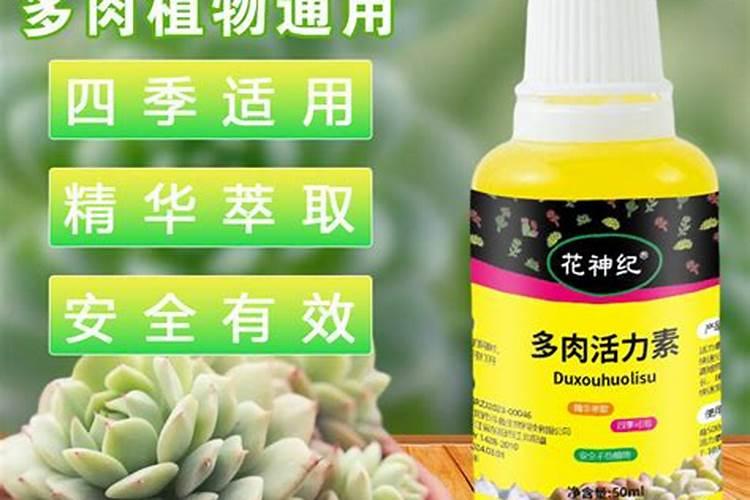 多肉缓释肥和控释肥有什么区别？