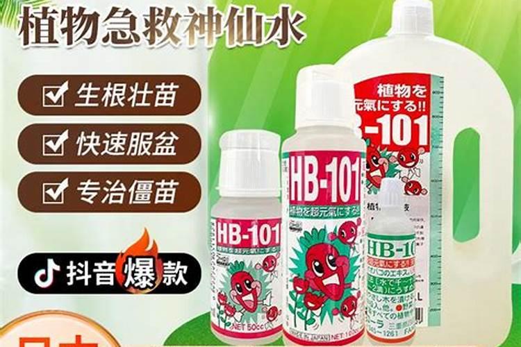 颗粒控释肥适合多肉吗？