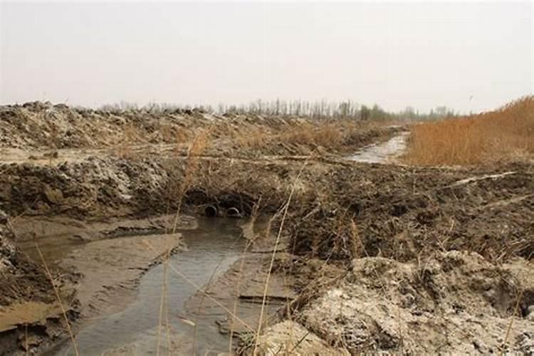 长期用含火碱的水浇地,地还可以种桩稼吗？