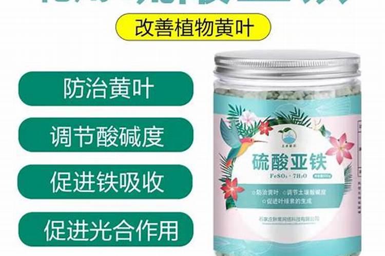 茉莉浇什么肥料合适