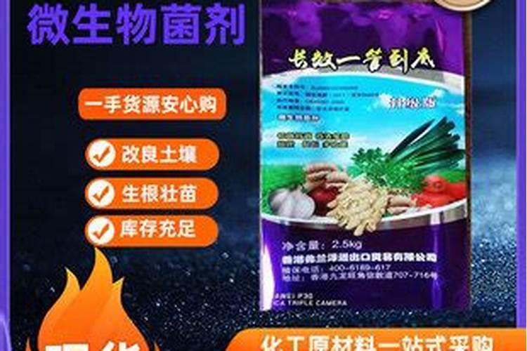 黄豆叶面肥什么时打合适