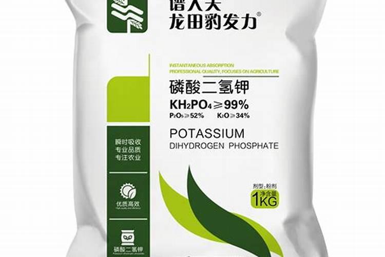 哈尔滨哪里有卖樱桃小红皮萝卜种子的