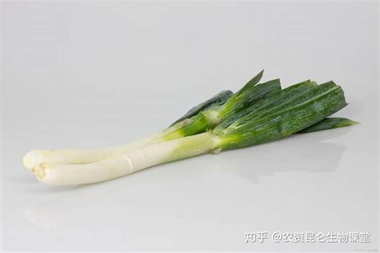 硼肥的作用与功效