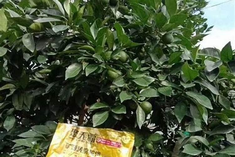 花施肥施多了怎么办
