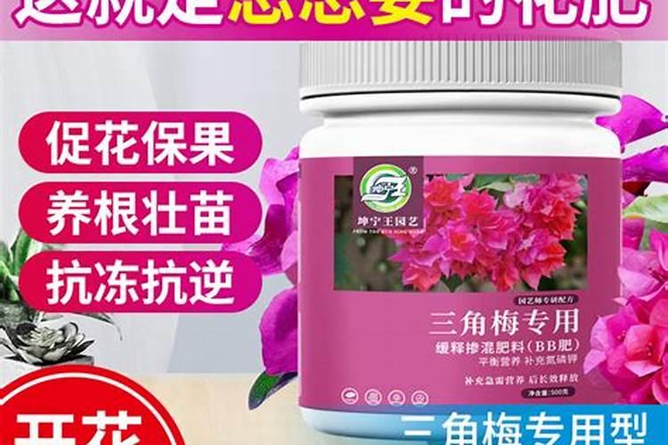 花肥一般用什么肥料比较好  养花需要买的肥哪种最好用