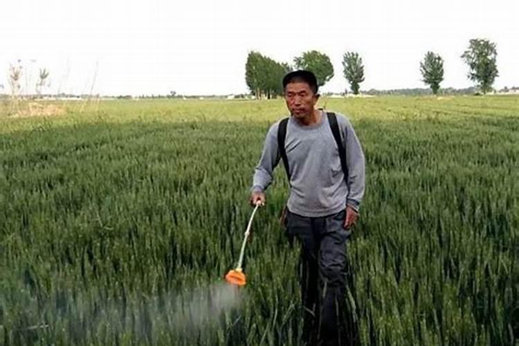 果树什么时间施肥最好