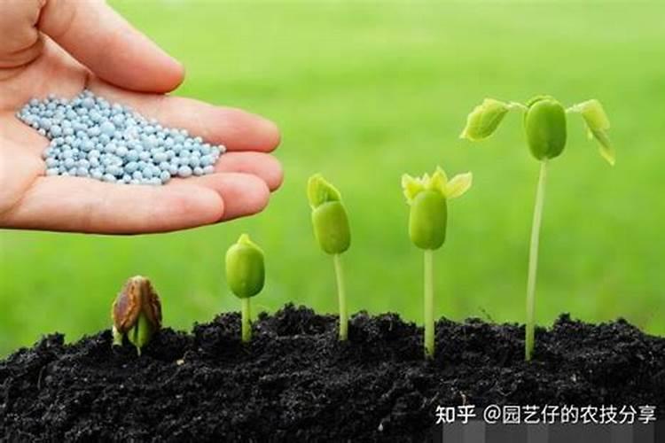水溶肥辣椒田喷施用量？