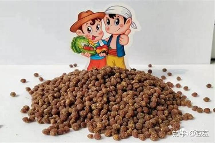 骨粉、鱼粉的成分有什么？