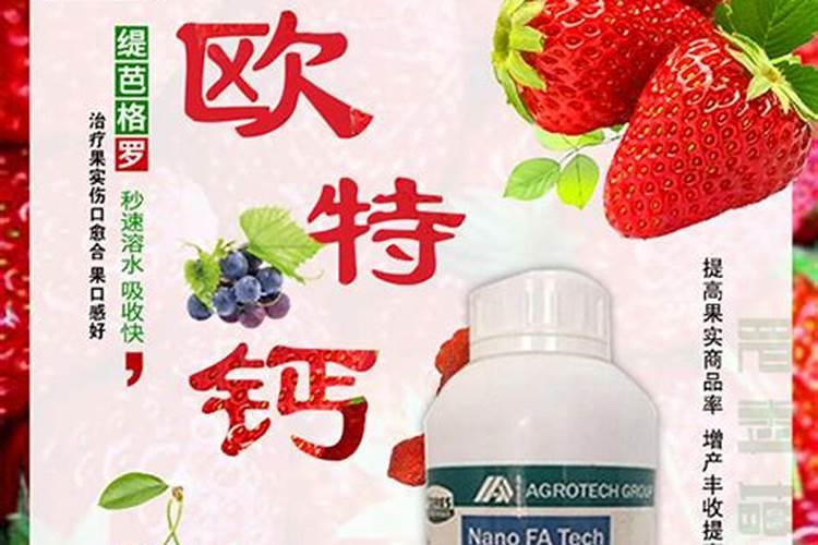钙肥对作物的主要作用