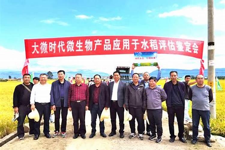 云南省这边哪几个品牌的化肥农药可靠些