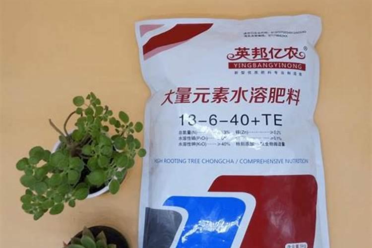 腐植酸、氨基酸、海藻素和鱼蛋白