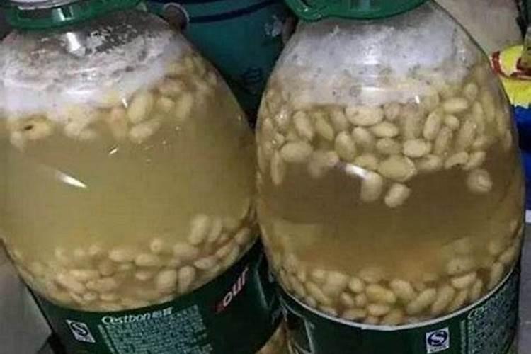 磷酸二氢钾怎么用草莓