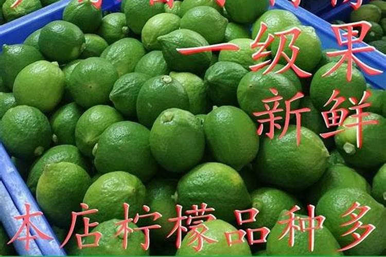 白掌浇水的正确方法