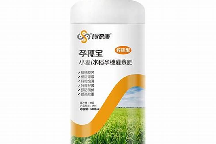 锌肥在小麦上怎么用？