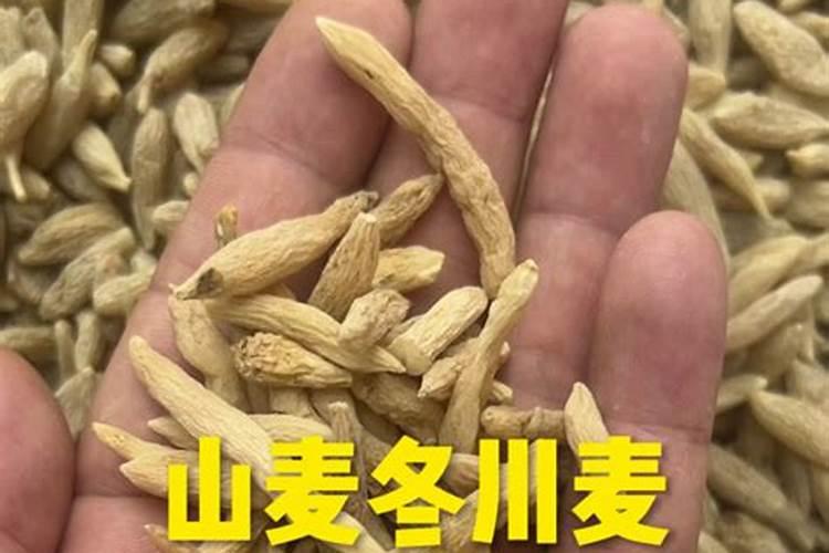 早酥梨什么时候成熟