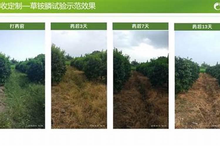 草胺磷喷后几天可以施肥