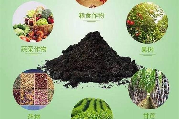 城市化粪池的粪便都去哪了