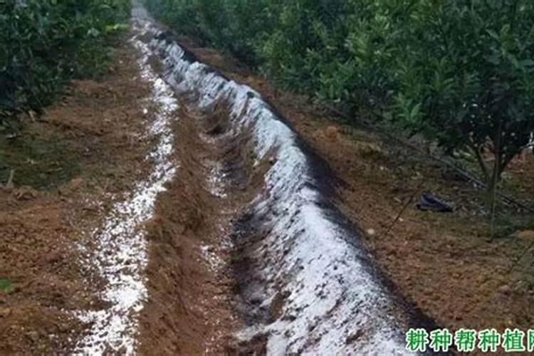 如何提高氮肥磷肥钾肥的利用率 提高氮肥磷肥钾肥的利用率方法百度知 ...