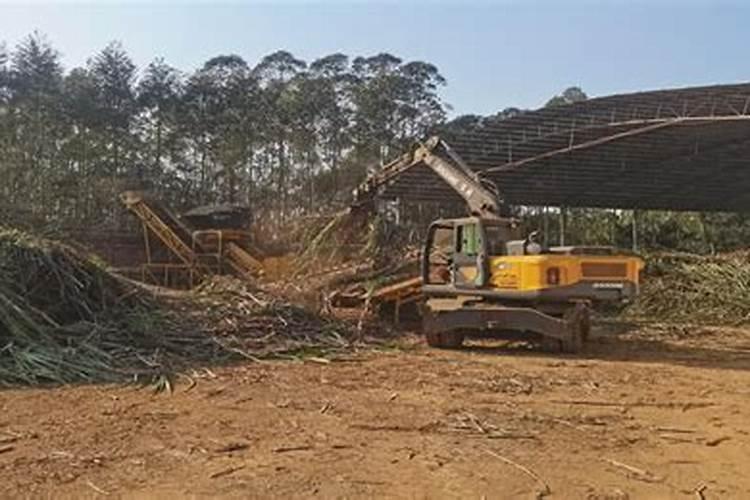 甘蔗拔节期最好使用什么肥