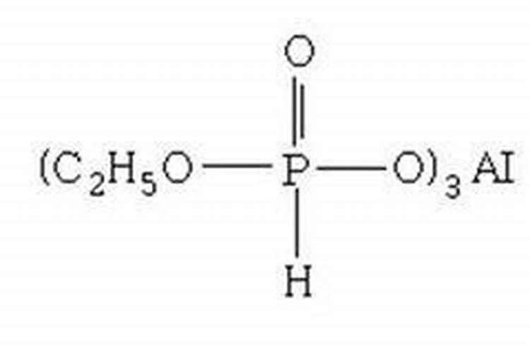 紫菜苔如何施肥