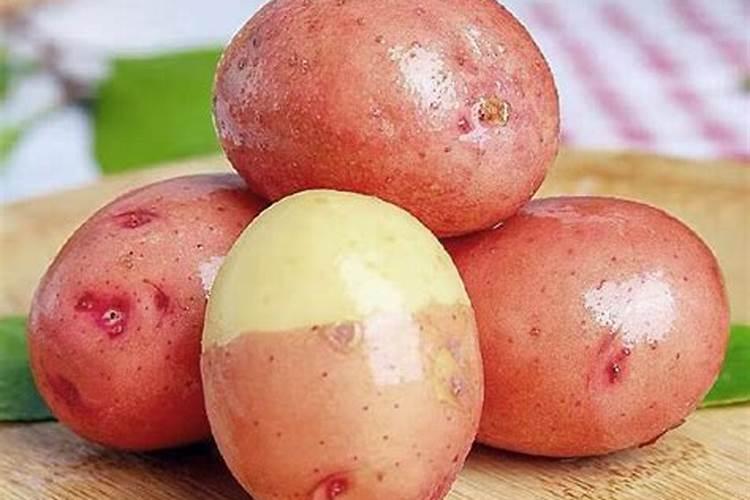 土豆浇什么肥料合适