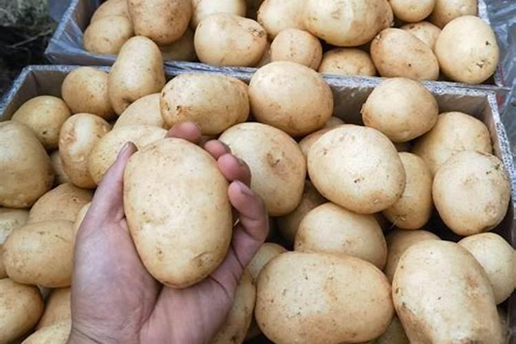 土豆浇什么肥料合适