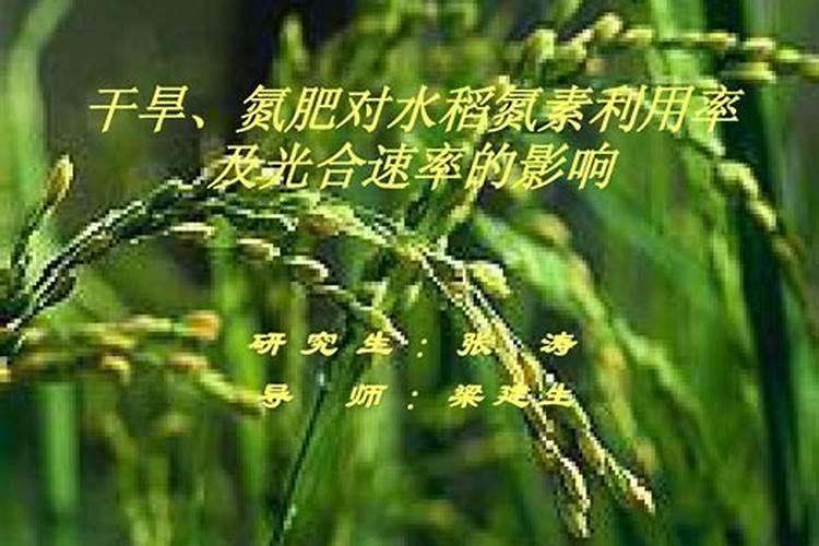 氮肥的作用是什么