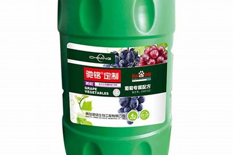 四季海棠开花时能浇水吗