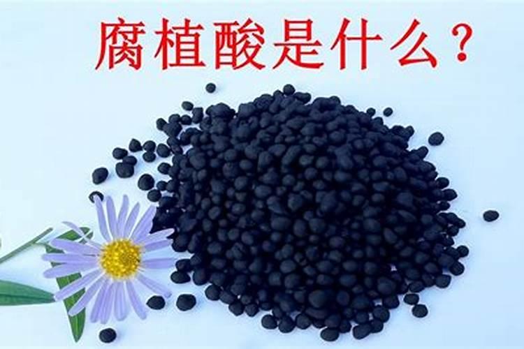 足球赛中的德比是什么意思,是说同城兄弟对战吗？为什么叫德比呢？
